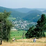 Belvita 3 Mit Hallenbad&sauna Willingen (Upland)