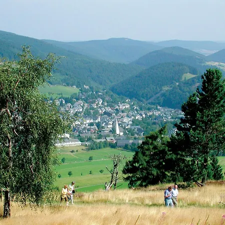 Belvita 3 Mit Hallenbad & Sauna - In Ruhiger Zentrumsrandlage ヴィリンゲン