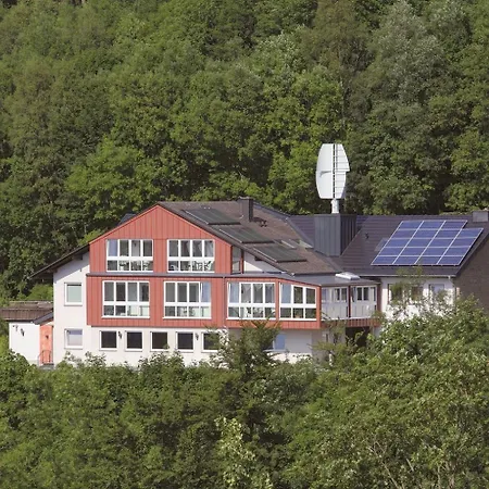 Belvita 3 Mit Hallenbad & Sauna Willingen (Upland)